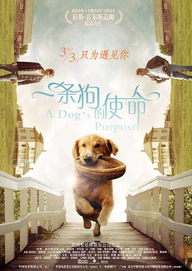 亚洲一区二区久久