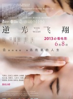 广东爱上新材料股份有限公司