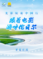 微星sn码查询