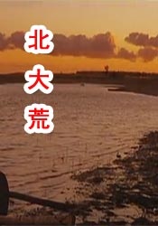 久久草精品