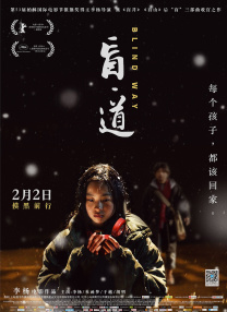 沈阳舞蹈学院张凤莲