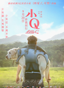 要是羡慕你的话就输了