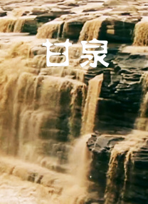 video是啥意思