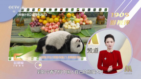 顶级嫩模一区二区三区